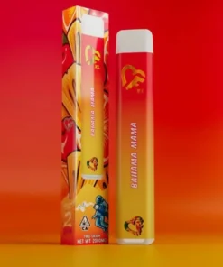 Favorites Bahama Mama disposable