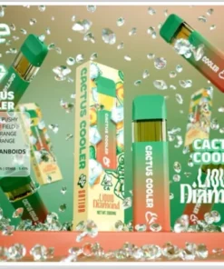 Favorites Cactus Cooler disposable